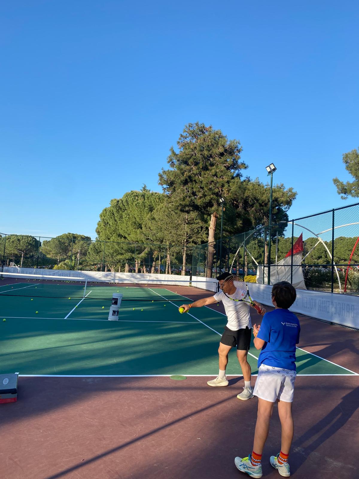 Tenis